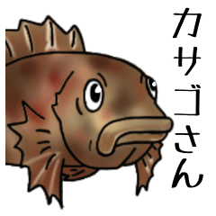 Mr.Marbled rockfish