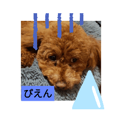 rei_20210318202441