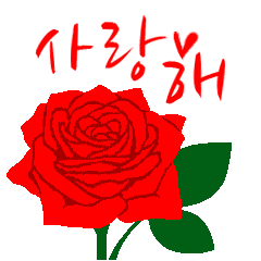 韓語/『我愛你』紅玫瑰