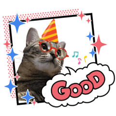 看不開的Tabby哥