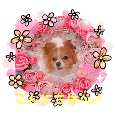 yukari_20210319141026