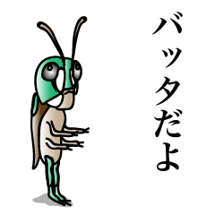 Grasshopper of BATAOKA