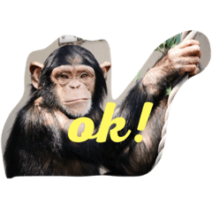 ok !