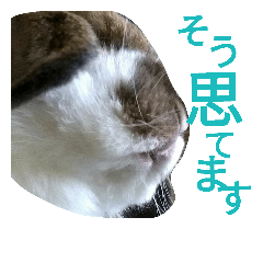Sticker of a cute rabbit chacha 2