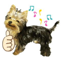 remochiyo_20210319123854