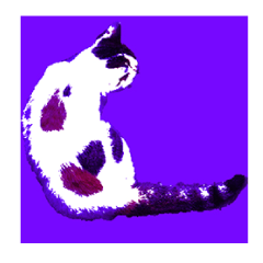 Pop Art Cat emoticons_1