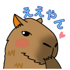Capybara in Kansai dialect part2.