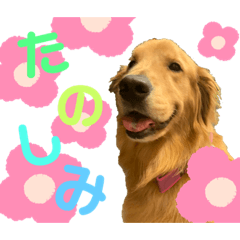 Hikari_20210319162545t