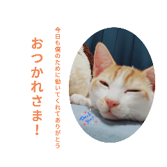 Saya_20210319124130