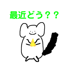 wasabi_20210319160915