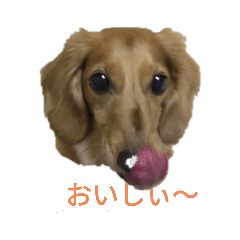 omochi_20210319161846