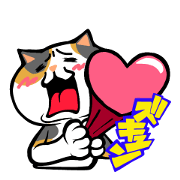 mochihoppe calico cat2