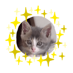 Sayuri_20210319185108