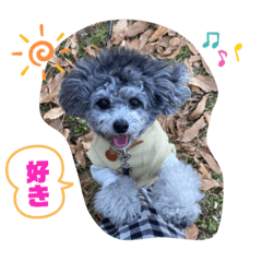 sherry_20210319212506