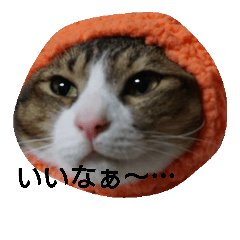 cap cat Japan