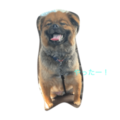 nanami_20210319210331