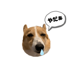 ayumi_20210319203353