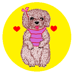 24 conversations by Toy poodle