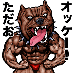 Tadao dedicated Muscle macho animal