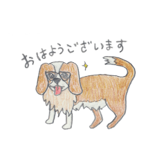 honorifics dogs