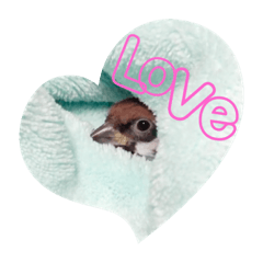 chibi_20210319170216