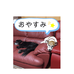 omochi_PERE