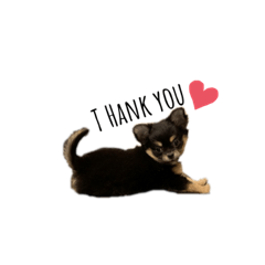 ayumi_20210320101220