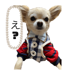 Nanami_20210320070207