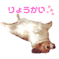 ayumi_20210320010526