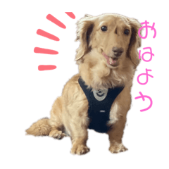 matsu_20210320114414