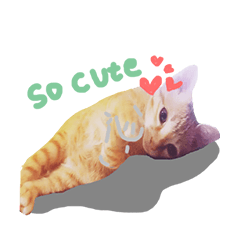 meow funny