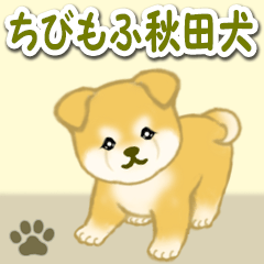 Puppy of Akita dog 7