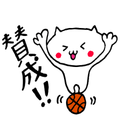 basketball cat is so cute