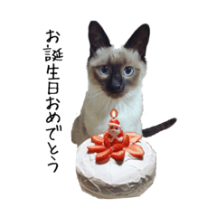Seasonal stamp of Siamese cat series Ken