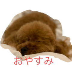 Yuka_20210320145123