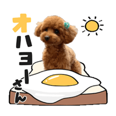masakazoo_20210320155731