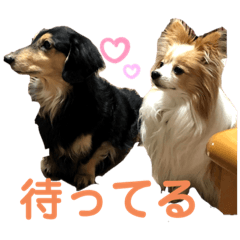 matsu_20210320184423