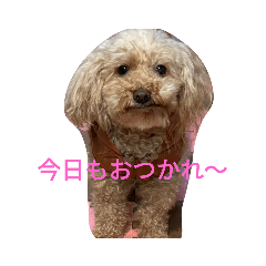 miyoko_20210320220900