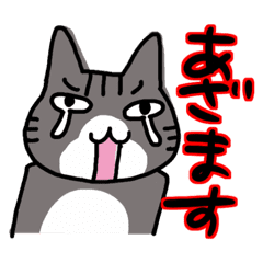 まるお01 Line スタンプ Line Store まるお01 Line スタンプ Line Store