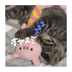 ponzu_20210320180738