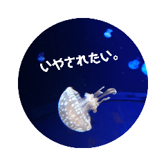 yun_20210320194747