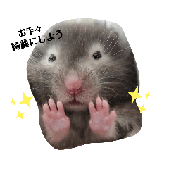 mogu no nichijyo