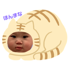 ワタナベカイリです