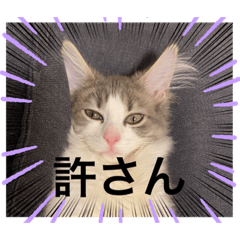mu-rin
