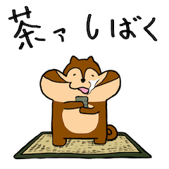 Cheek Squirrel 2