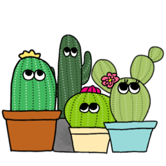 cactus in wonderland