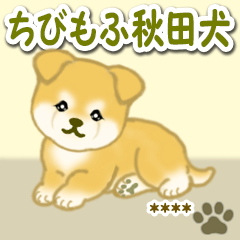 Puppy of Akita dog 7custom