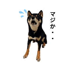 Emily_20210320165140