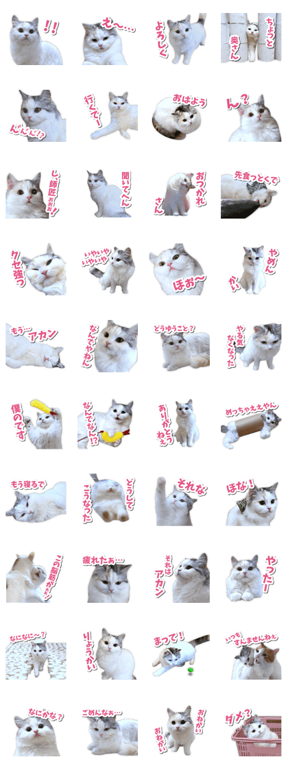 スタンプ無料GET!】 ニャンチューバーつくし｜ Stampick