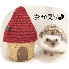 Hedgehog  Ren